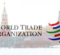 РФ подаёт иск в ВТО против третьего энергопакета Евросоюза